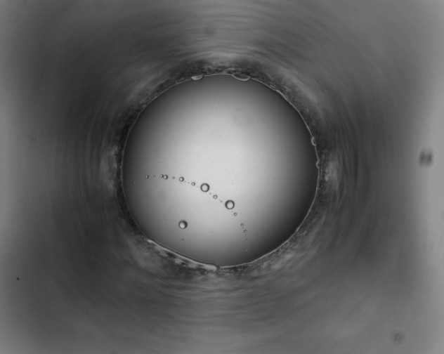 X0000103330868200809051207