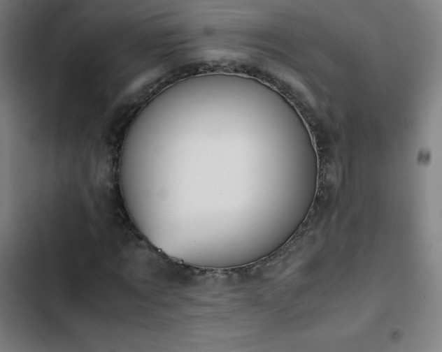 X0000103330869200809051207