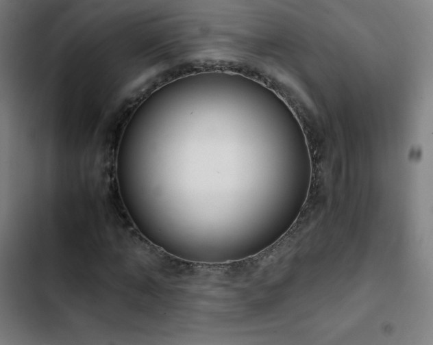 X0000103330870200809051207