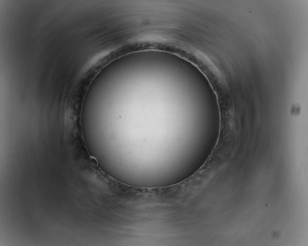 X0000103330872200809051207