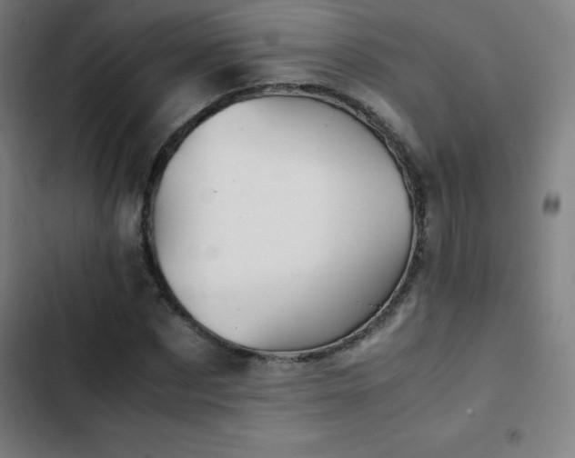 X0000103330873200809051207