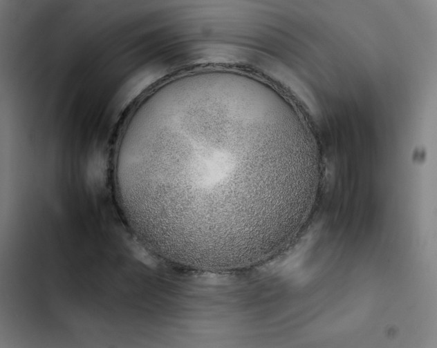 X0000103330874200809051207