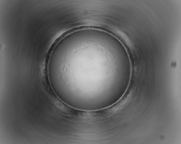 X0000103330875200809051207