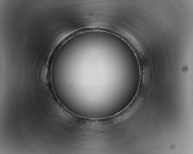 X0000103330876200809051207