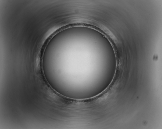 X0000103330877200809051207