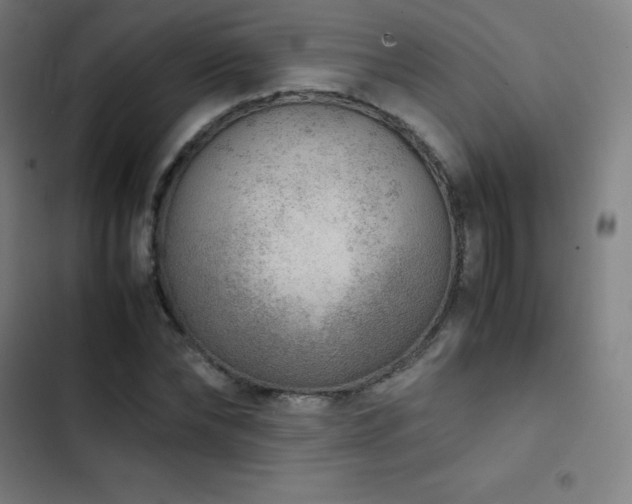 X0000103330878200809051207