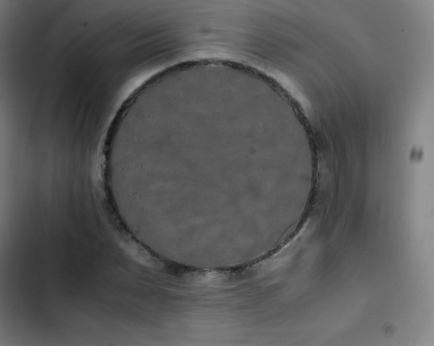 X0000103330879200809051207