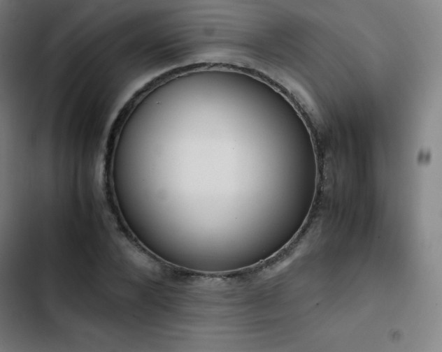 X0000103330880200809051207