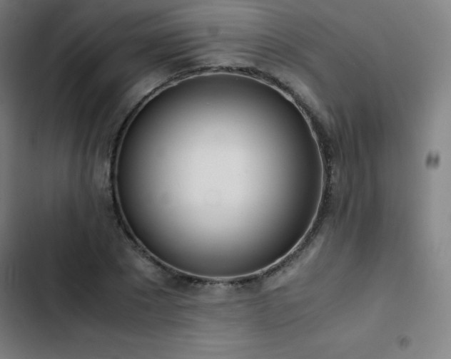 X0000103330881200809051207