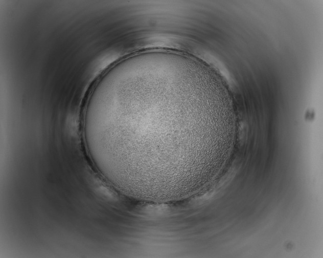 X0000103330882200809051207