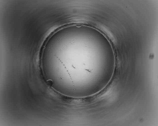 X0000103330883200809051207