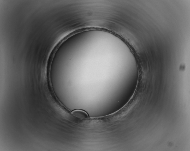 X0000103330884200809051207