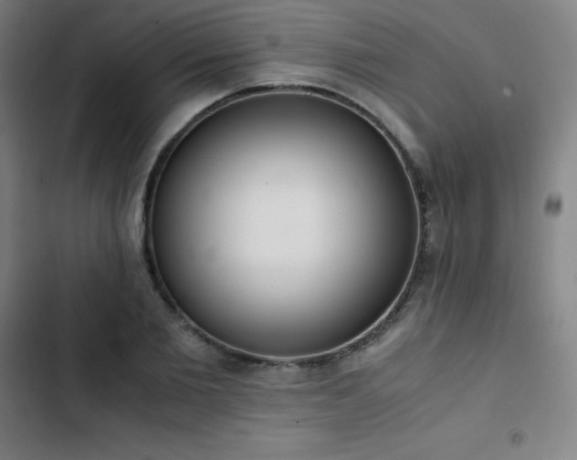 X0000103330885200809051207