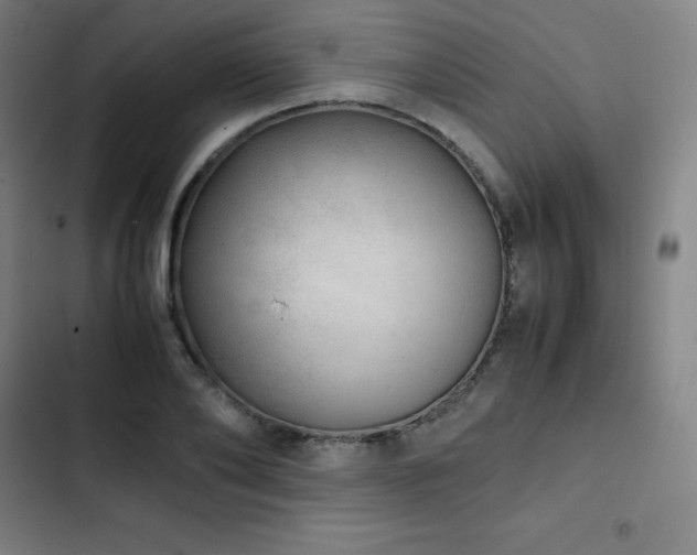 X0000103330886200809051207