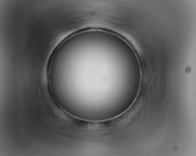 X0000103330887200809051207