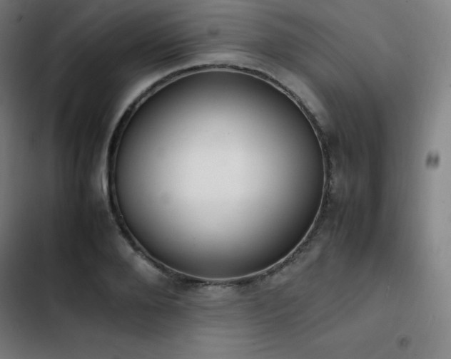 X0000103330888200809051207