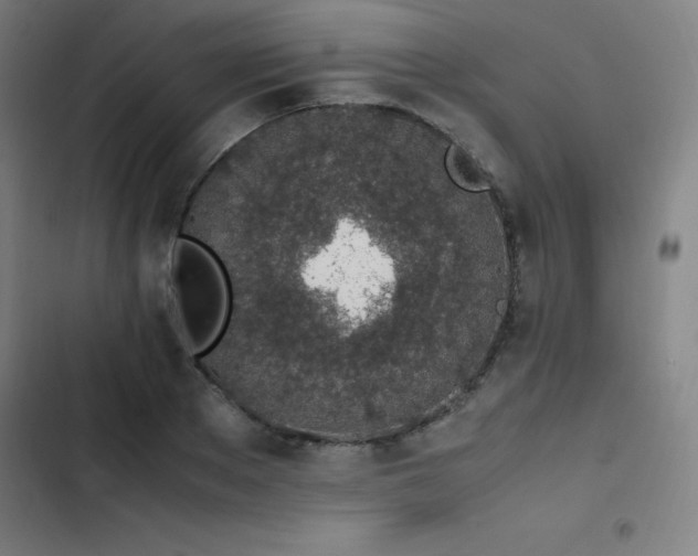 X0000103330889200809051207