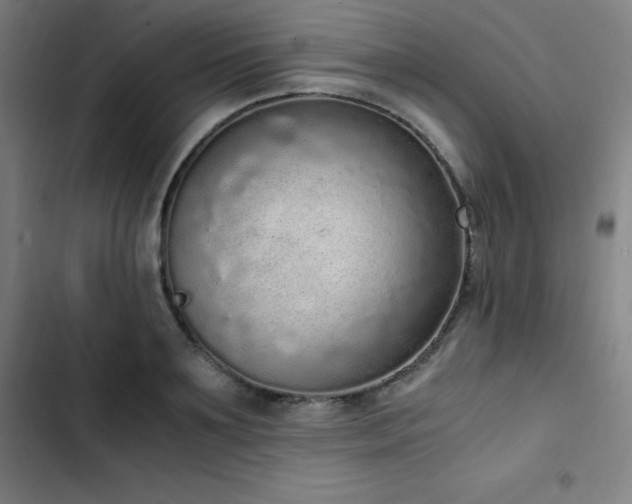 X0000103330891200809051207