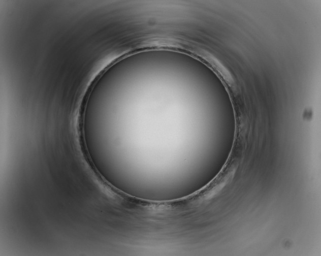 X0000103330893200809051207