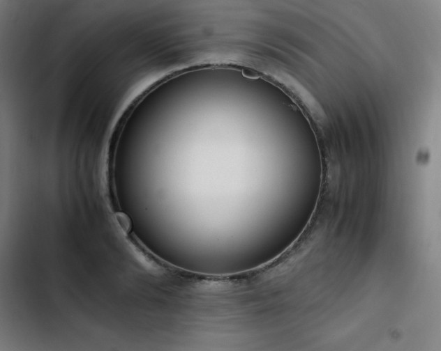 X0000103330894200809051207