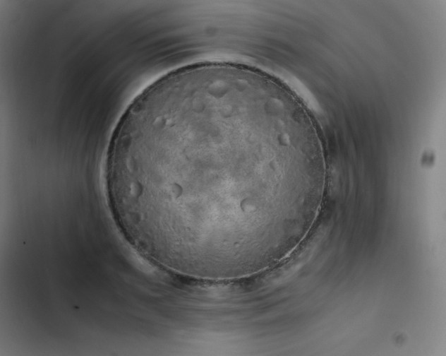 X0000103330895200809051207