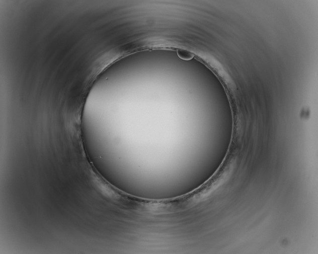 X0000103330897200809051207