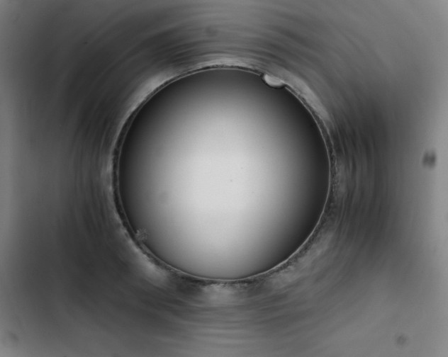 X0000103330898200809051207