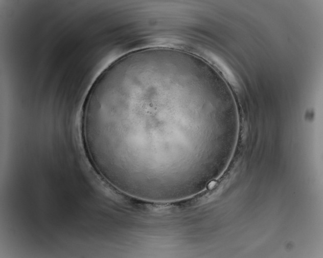 X0000103330899200809051207