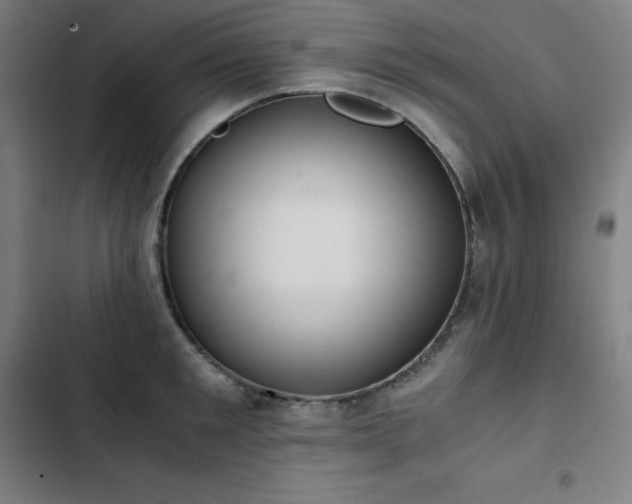 X0000103330901200809051207