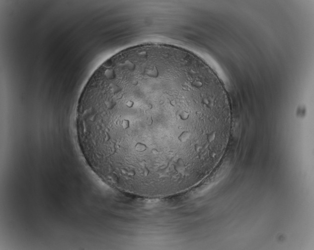 X0000103330903200809051207