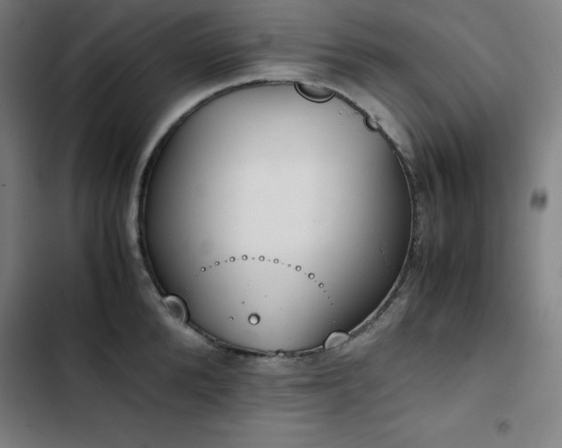 X0000103330904200809051207