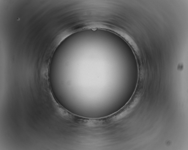 X0000103330905200809051207