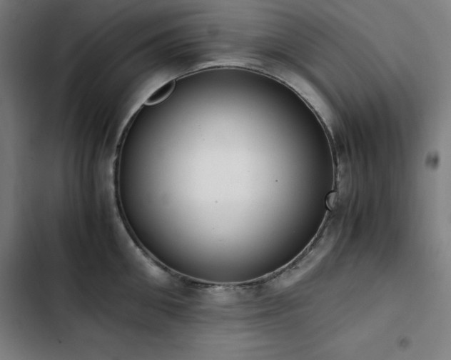 X0000103330906200809051207