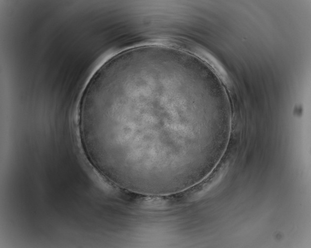 X0000103330907200809051207