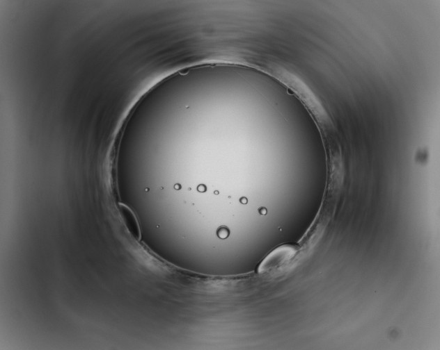 X0000103330908200809051207