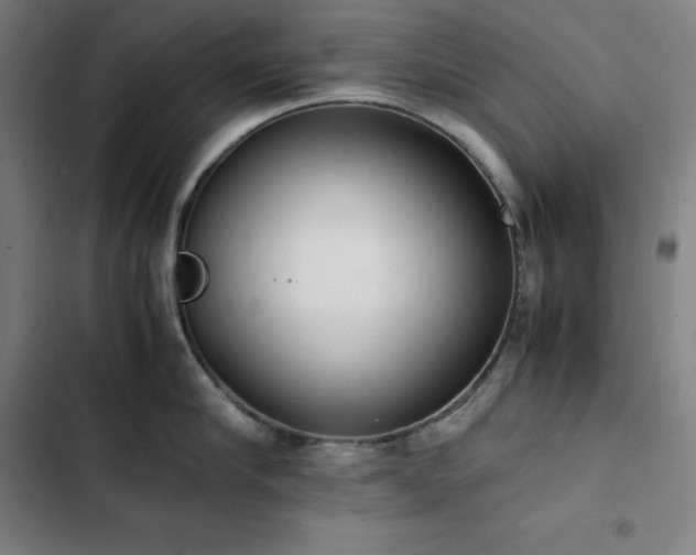 X0000103330910200809051207