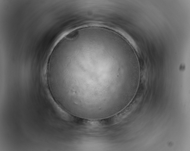 X0000103330911200809051207