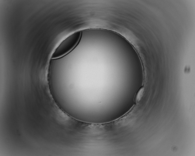 X0000103330912200809051207