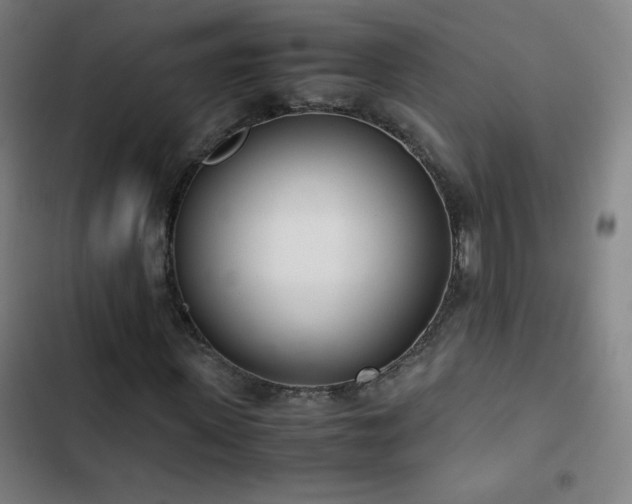 X0000103330915200809051206