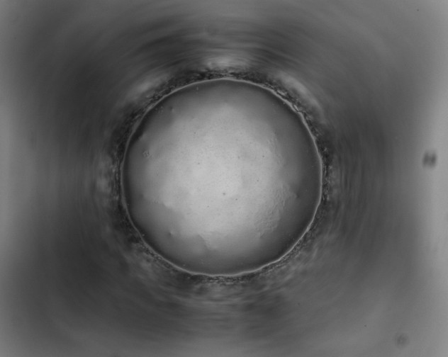 X0000103330917200809051206