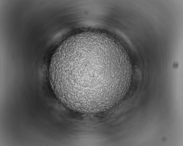 X0000103330918200809051206