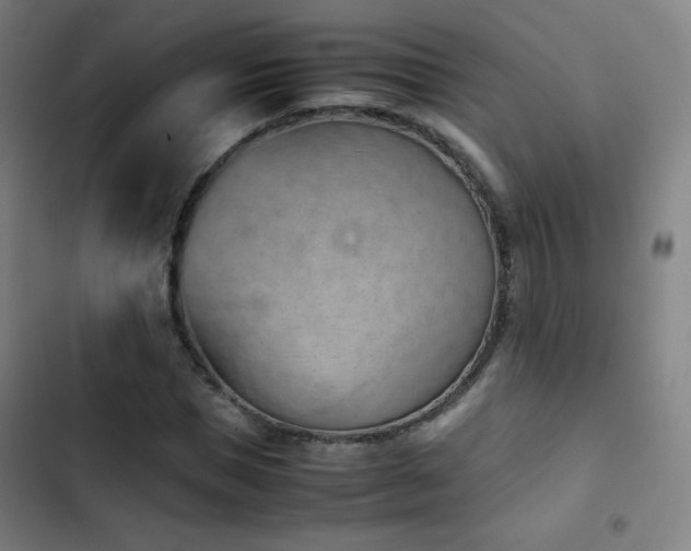 X0000103330921200809051206