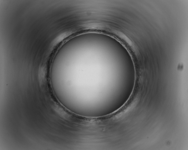 X0000103330922200809051206