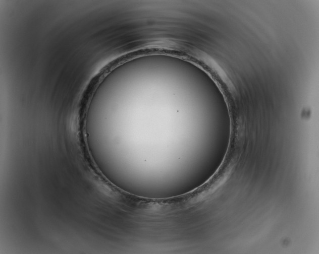 X0000103330923200809051206