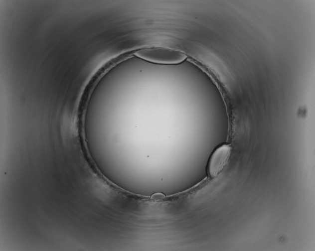 X0000103330924200809051206