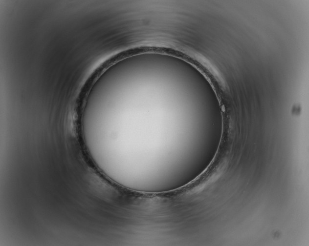 X0000103330926200809051206