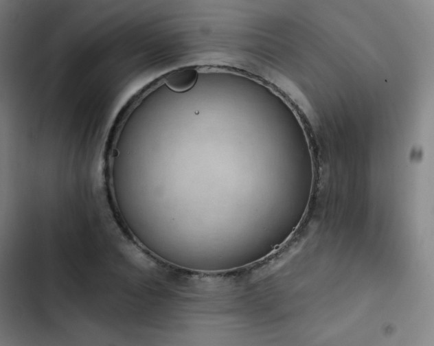 X0000103330928200809051206