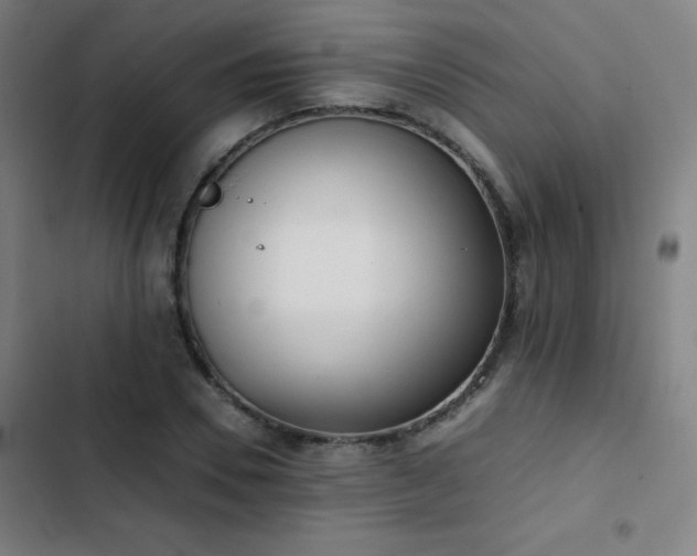 X0000103330930200809051206