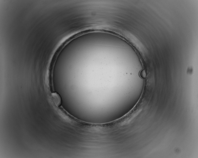 X0000103330932200809051206