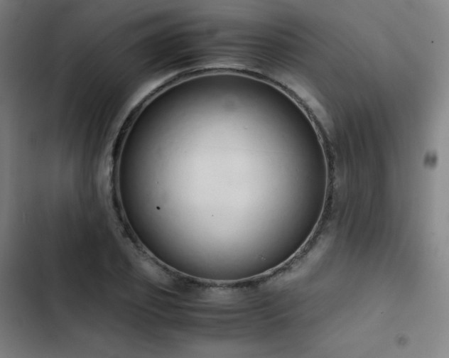 X0000103330933200809051206